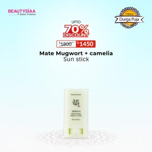 Beauty of Joseon Matte sun stick Mugwort + Camelia 18g